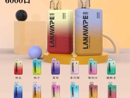 LANA Trend 6000口｜一次性電子煙｜8ml大容量+500mAh｜Type-C快充-台灣現貨
