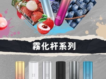 Meel 一代主機｜智能注油電子煙、Type-C快充、仿生蜂窩霧化芯-台灣現貨